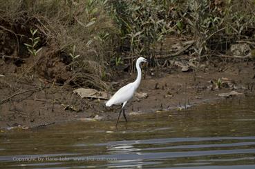 01 River_Sal_Cruise,_Goa_DSC6984_d_H600